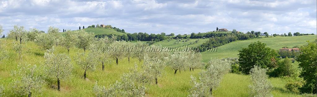 12526_14_05_2012_torrita_di_siena_tuscany_italy_toscana_italien_spring_fruehling_scenic_outlook_viewpoint_panoramic_landscape_photography_panorama_landschaft_foto_71_15225x4691.jpg